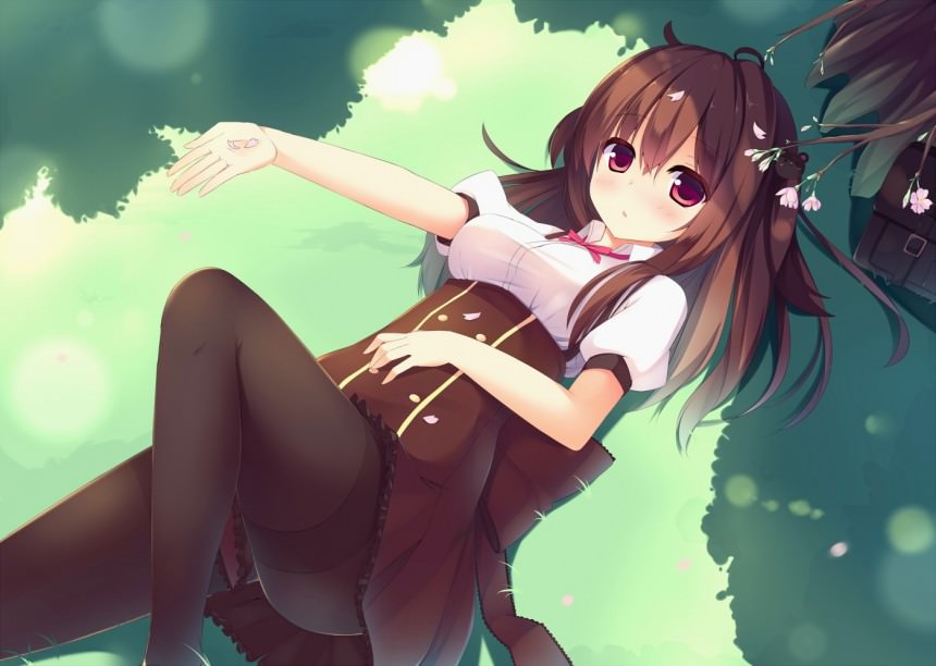    -      ,  